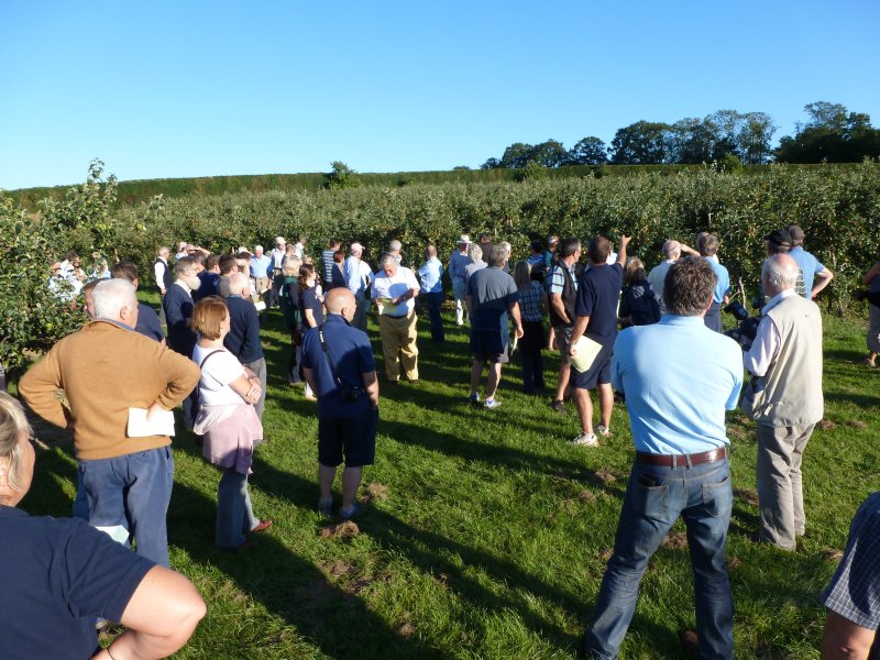 Walking the winning orchards with George